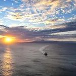 Cool Canaria