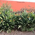 Casa Rural En San Mateo
