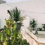 Cool Canaria