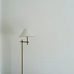 Canaryislandshost