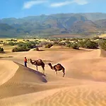 Donana 1109