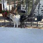 La Casa Vieja De La Montana
