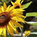 Finca De Los Poetas