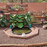 Casita Leos