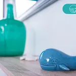 Fronton Whale Apartamentos