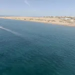 Tinache