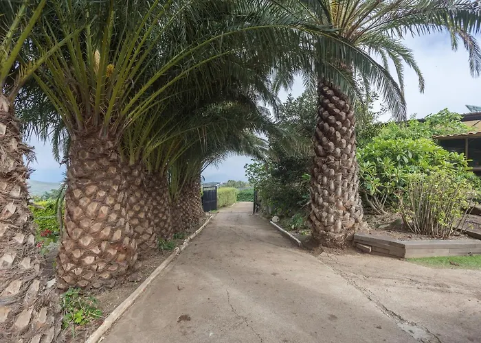 Los Paredones Farm - Private Pool - Garden