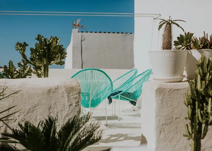 Cool Canaria