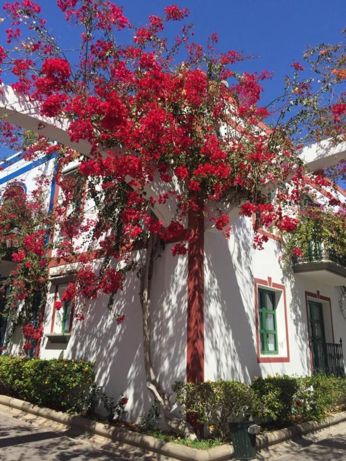 Captains House Playa De Mogan Holiday home Puerto De Mogan