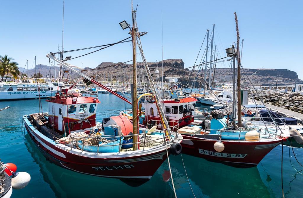 Las Palmeras Puerto De Mogan