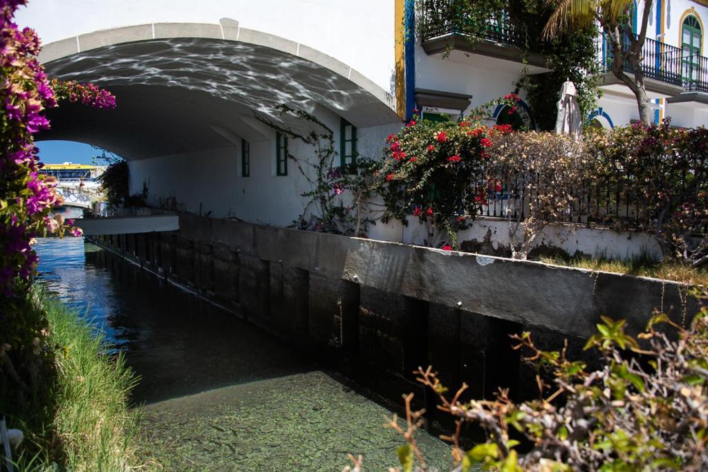 Las Palmeras Apartment