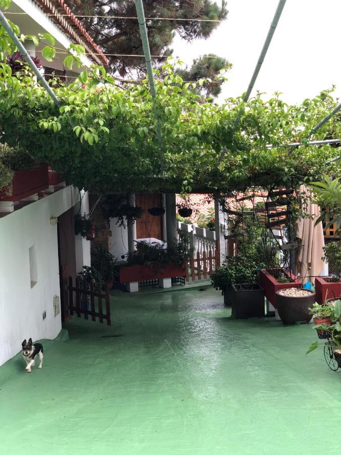 Holiday home Los Viejitos En Firgas