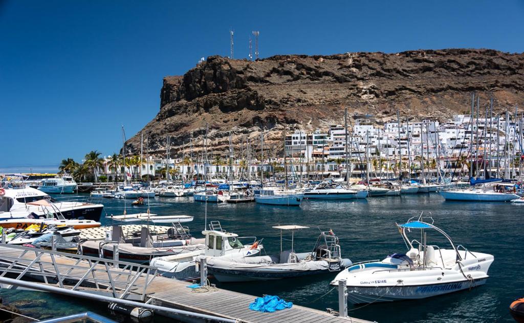 Edificio Playa Apartamento *