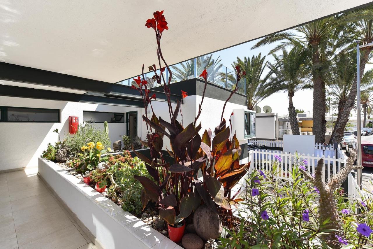 Apartment Charca 1 Maspalomas (Gran Canaria)