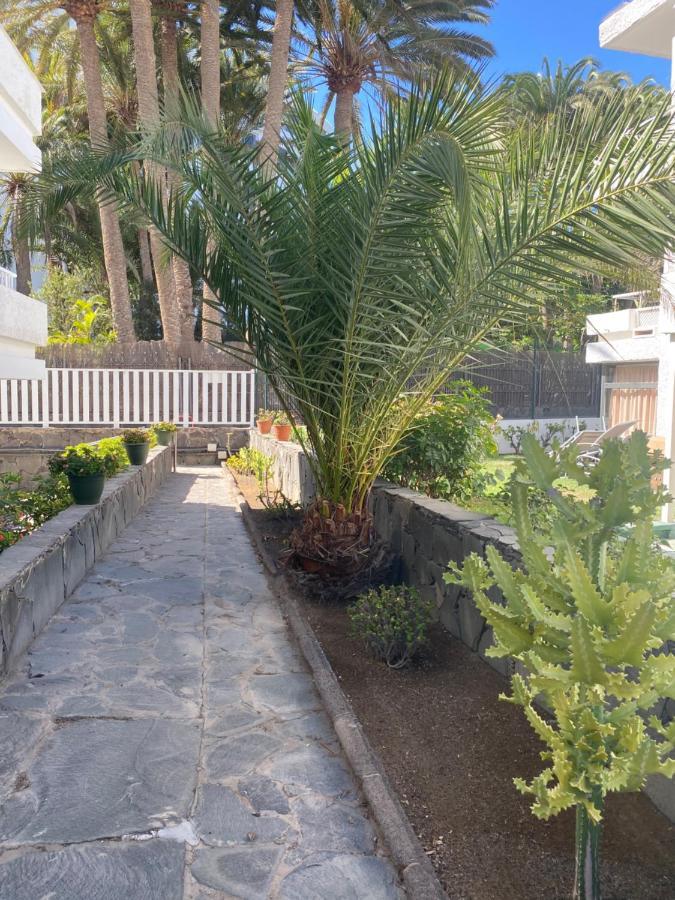 Oasis Playa Maspalomas Apartment