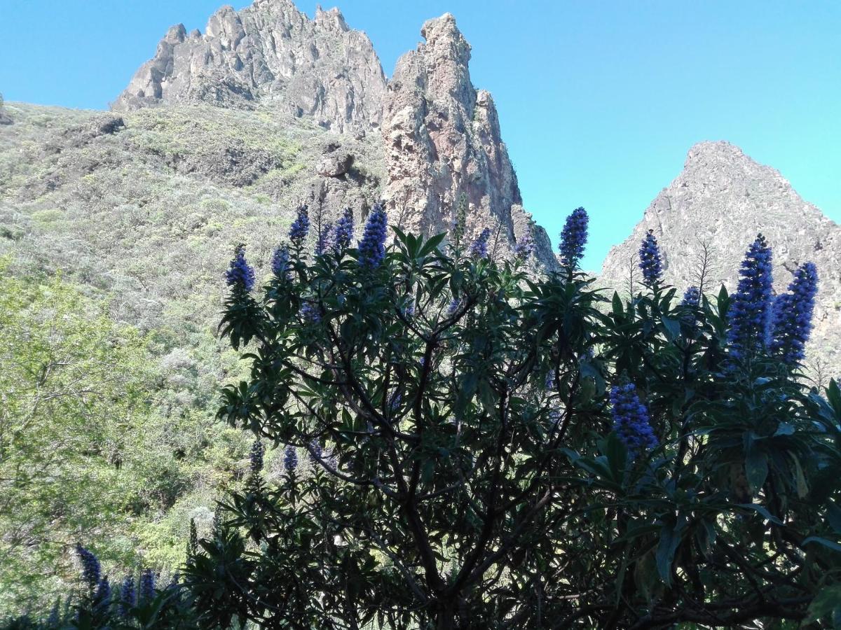 Chalet Rutas De