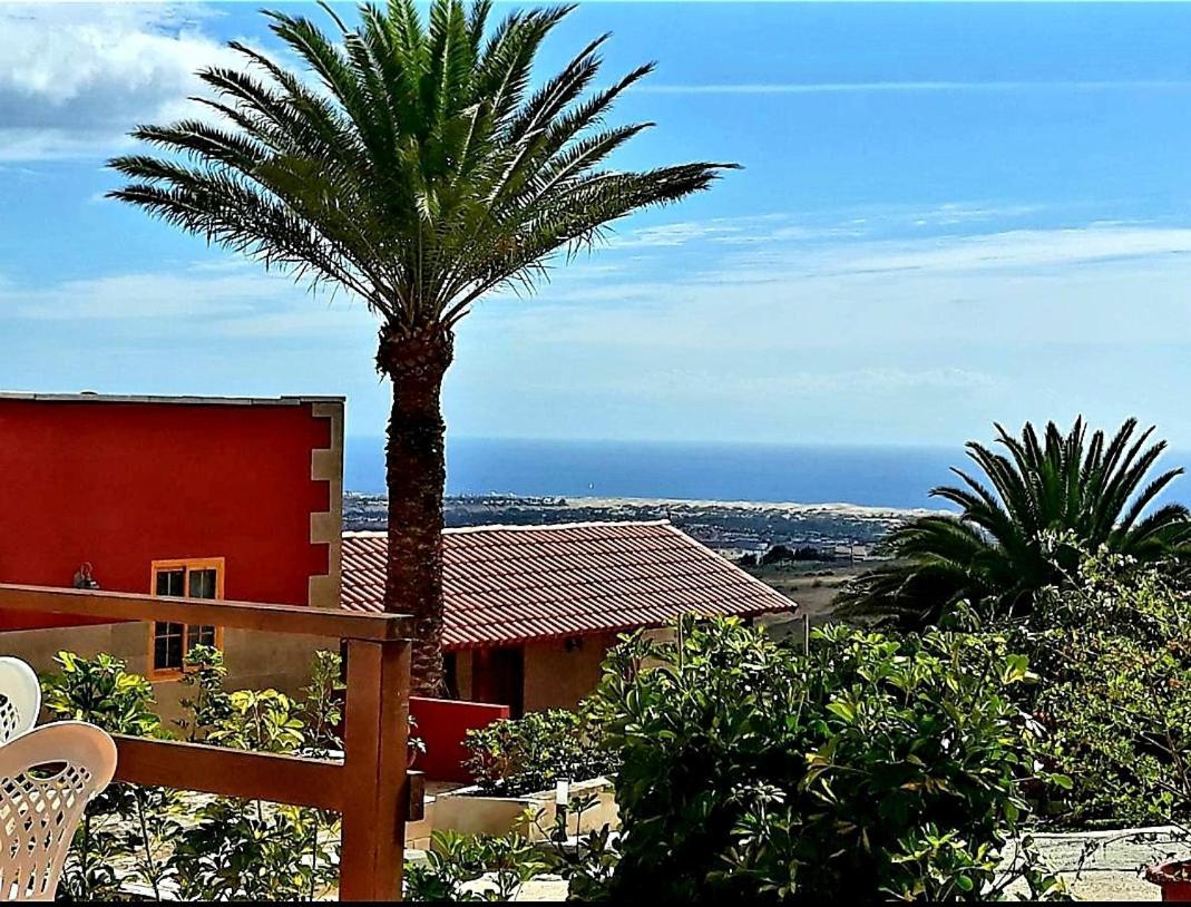Chácara The Black Horse Canarias - Adults Only