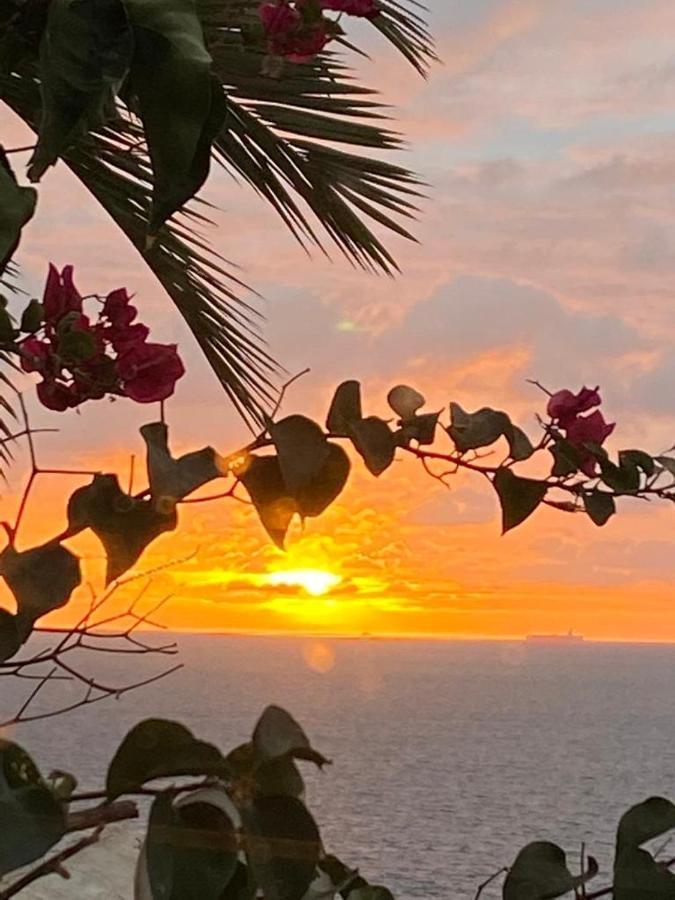 Seaviews And Flowers *
