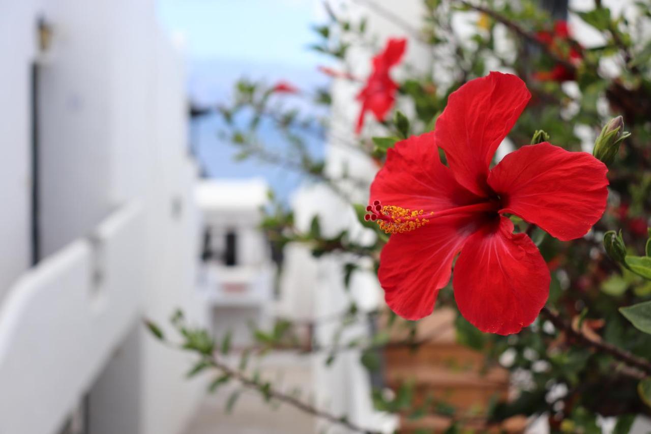 Casa Lina Sardina *