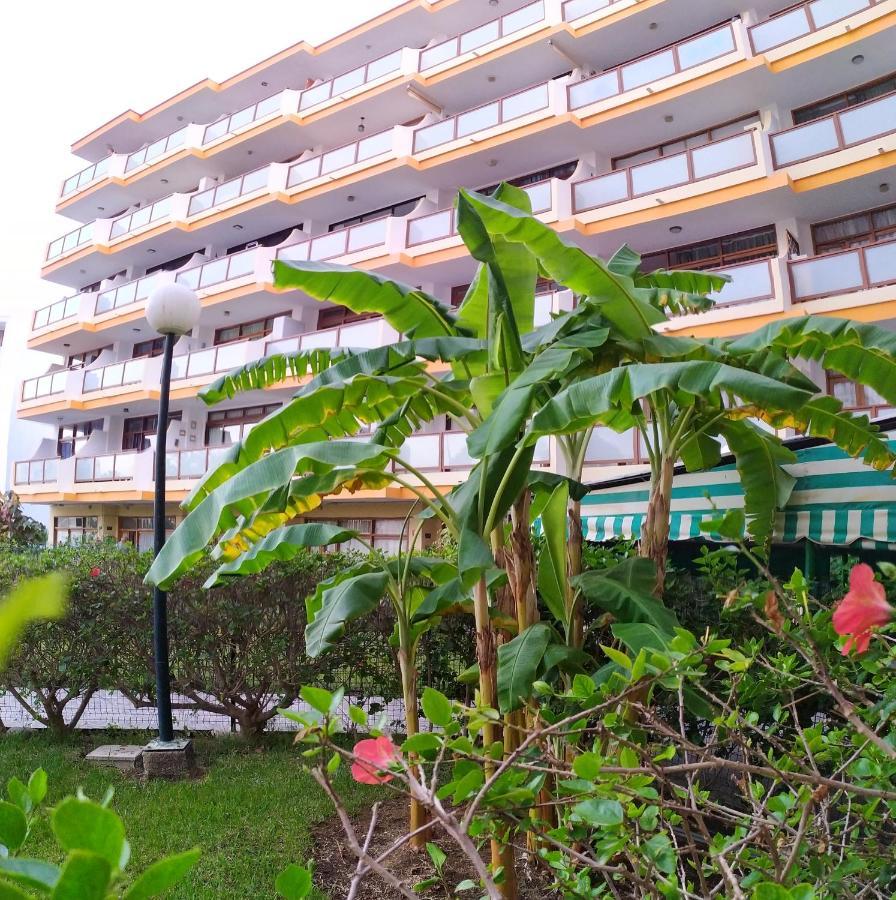 Australia Apartment *