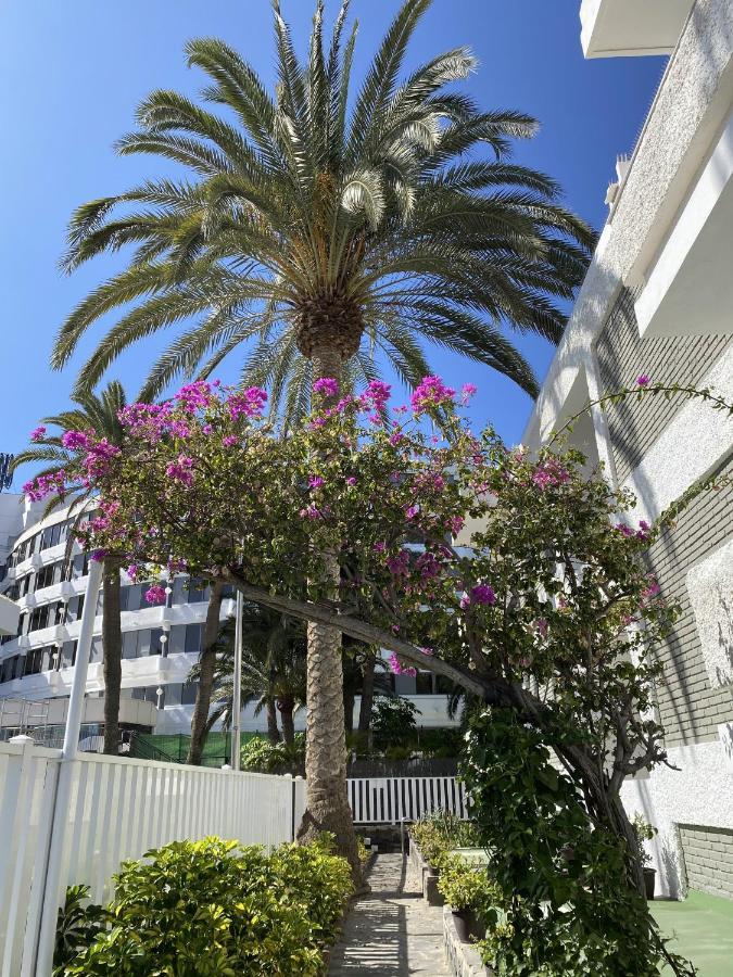 Oasis Playa Maspalomas * Maspalomas (Gran Canaria)