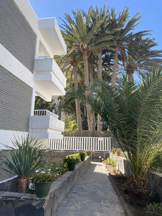 Oasis Playa Maspalomas *