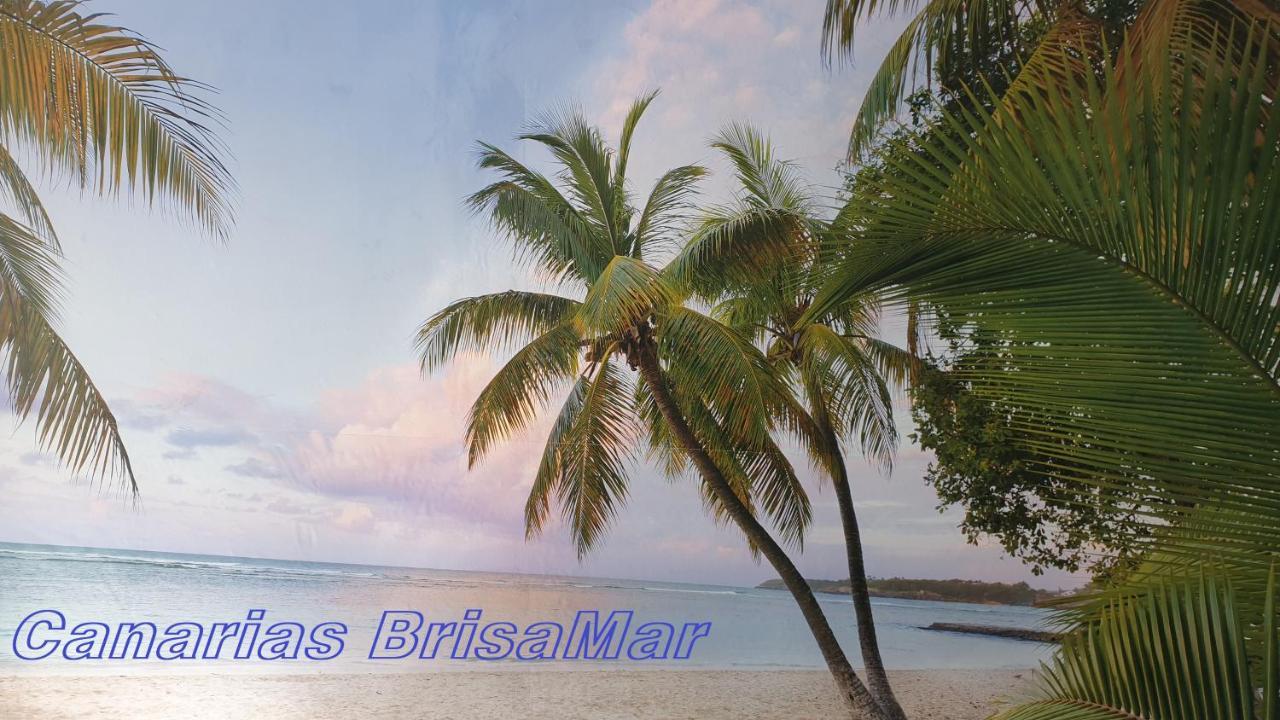 Apartamento Canariasbrisamar -