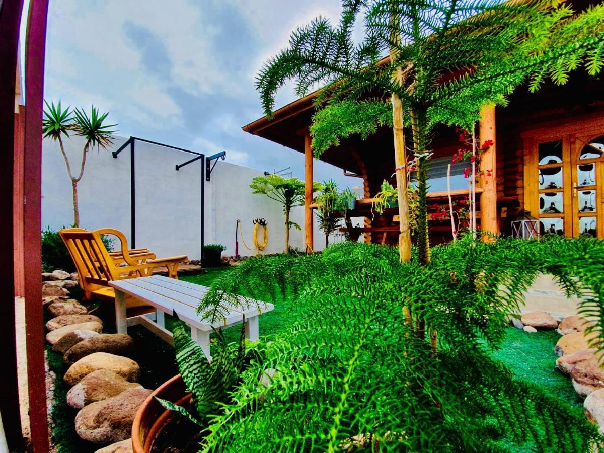 Wild House Vakantiehuis