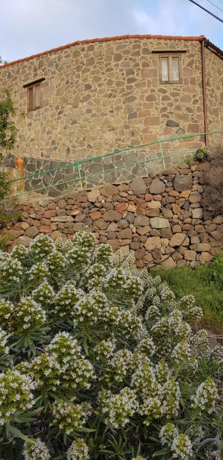 El Rinconcito De Tejeda (Gran Canaria)