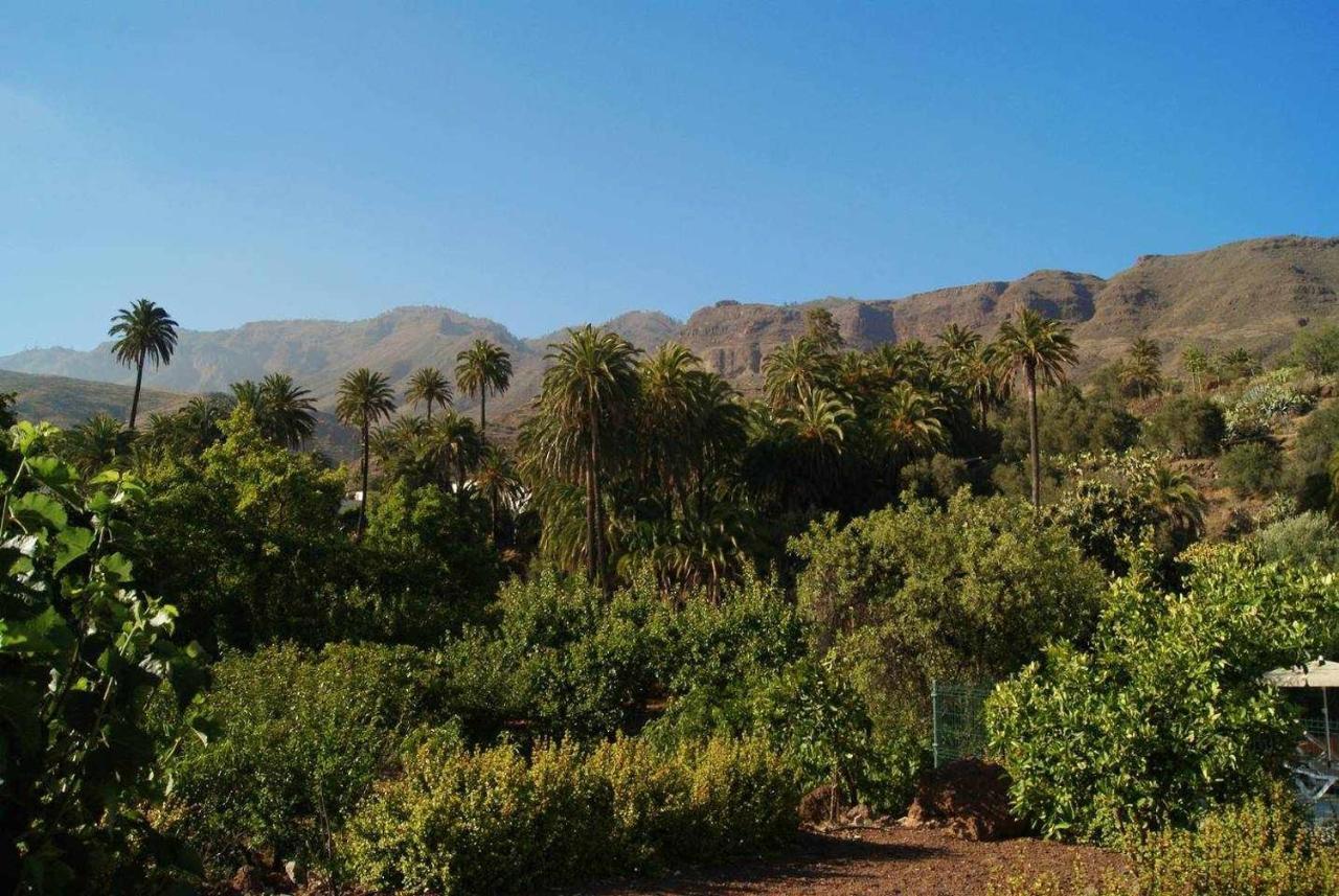 La Fuente De La Flora Country house
