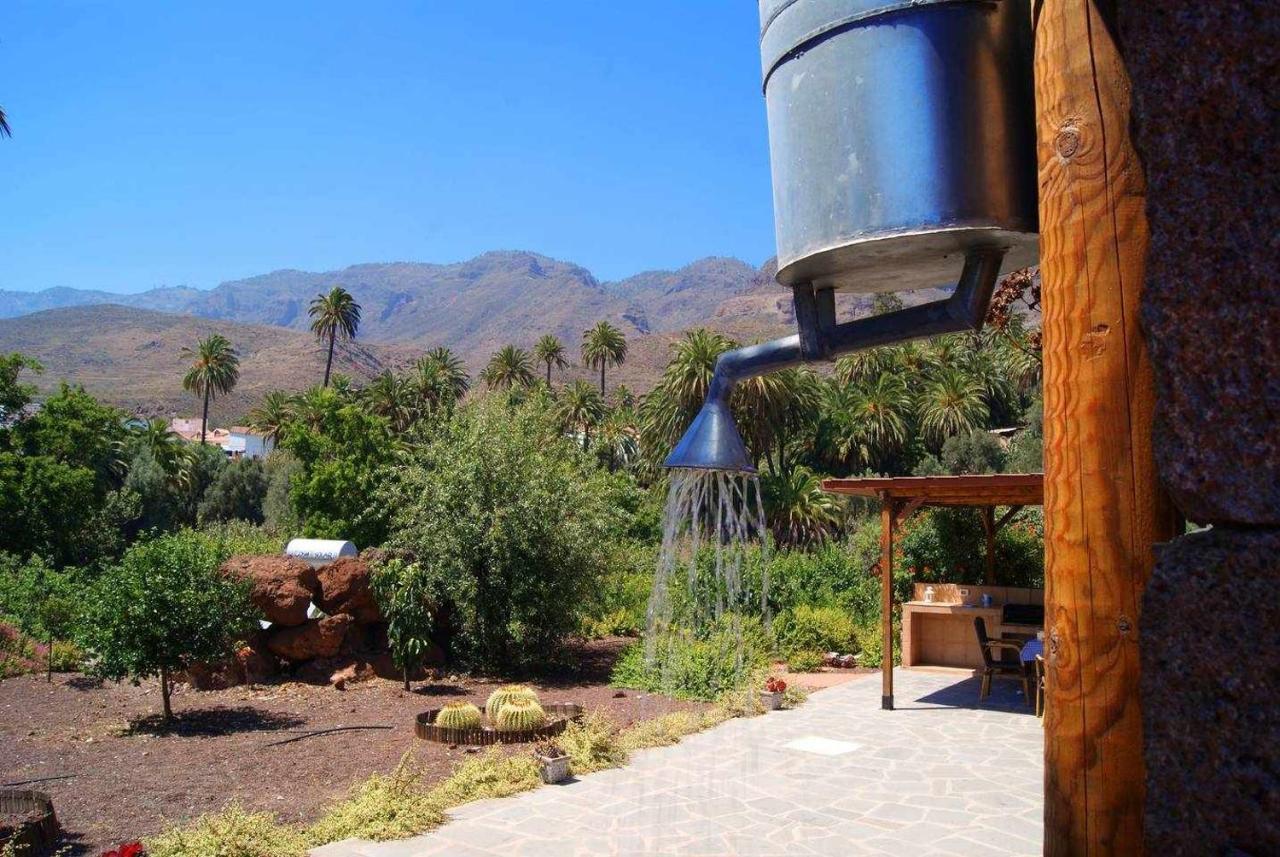 La Fuente De La Flora *
