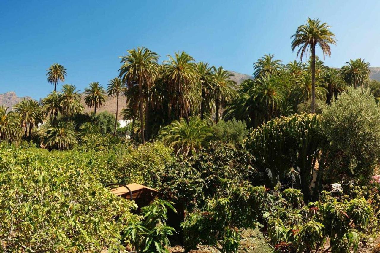 La Fuente De La Flora *