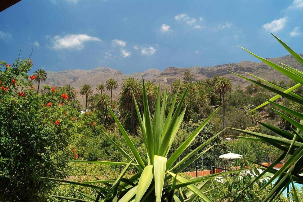 La Fuente De La Flora Santa Lucia
