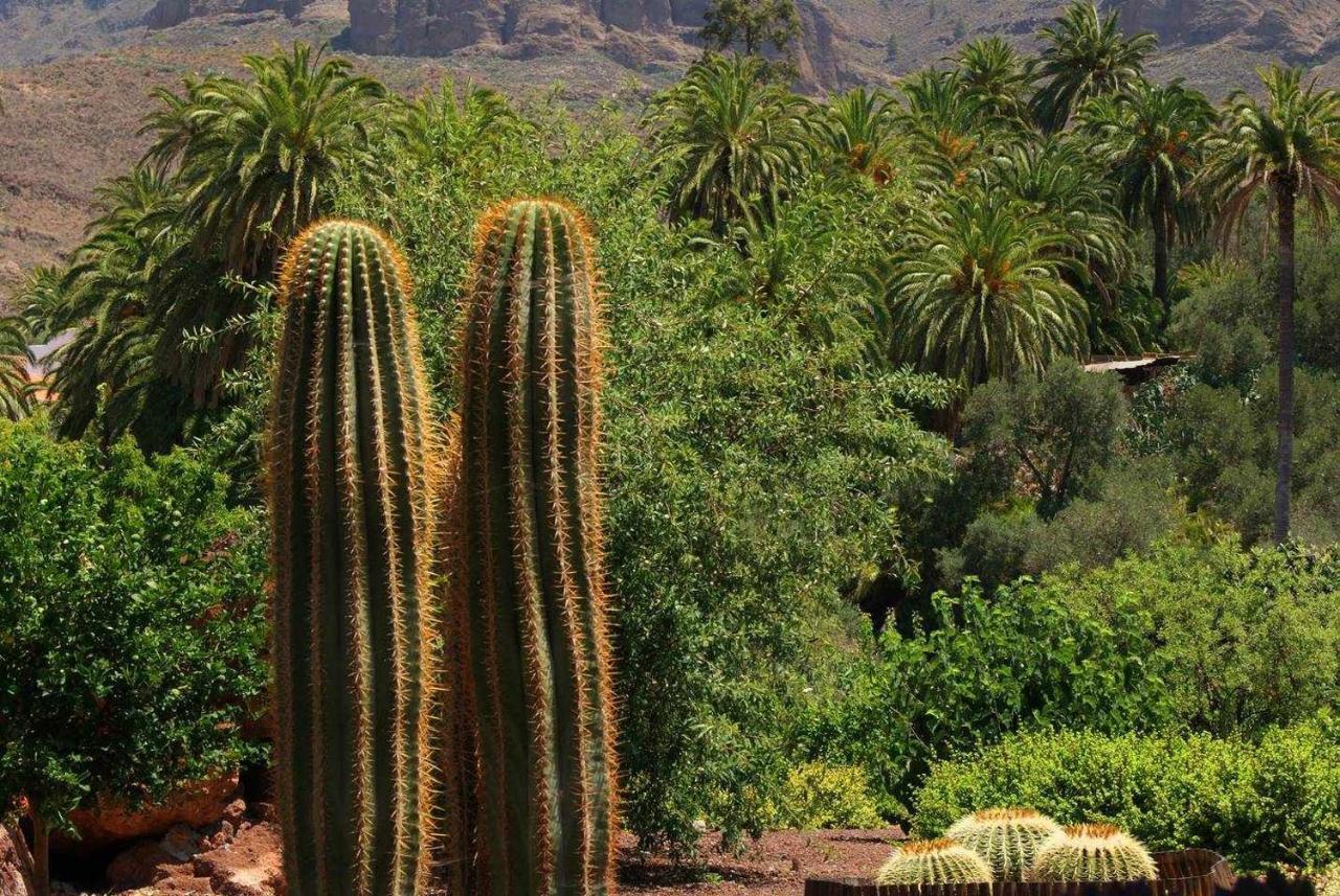 La Fuente De La Flora *