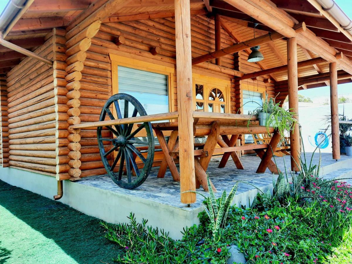 Wild House Vakantiehuis