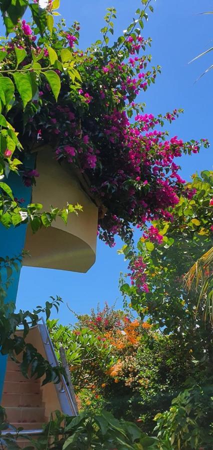 Alsol Don Palomon Apartment Playa del Ingles (Gran Canaria)