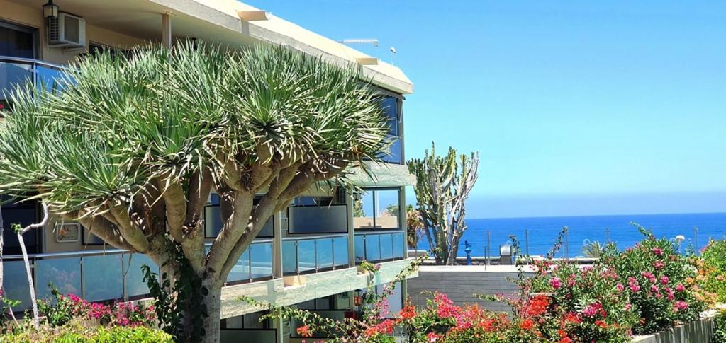 Alsol Don Palomon Playa del Ingles (Gran Canaria)