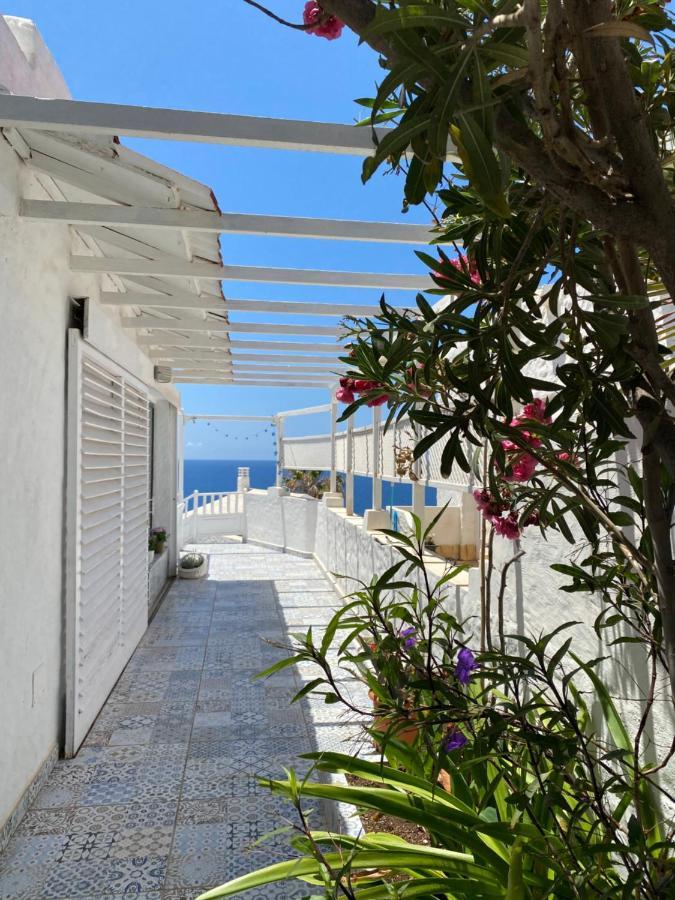 Seaviews And Flowers