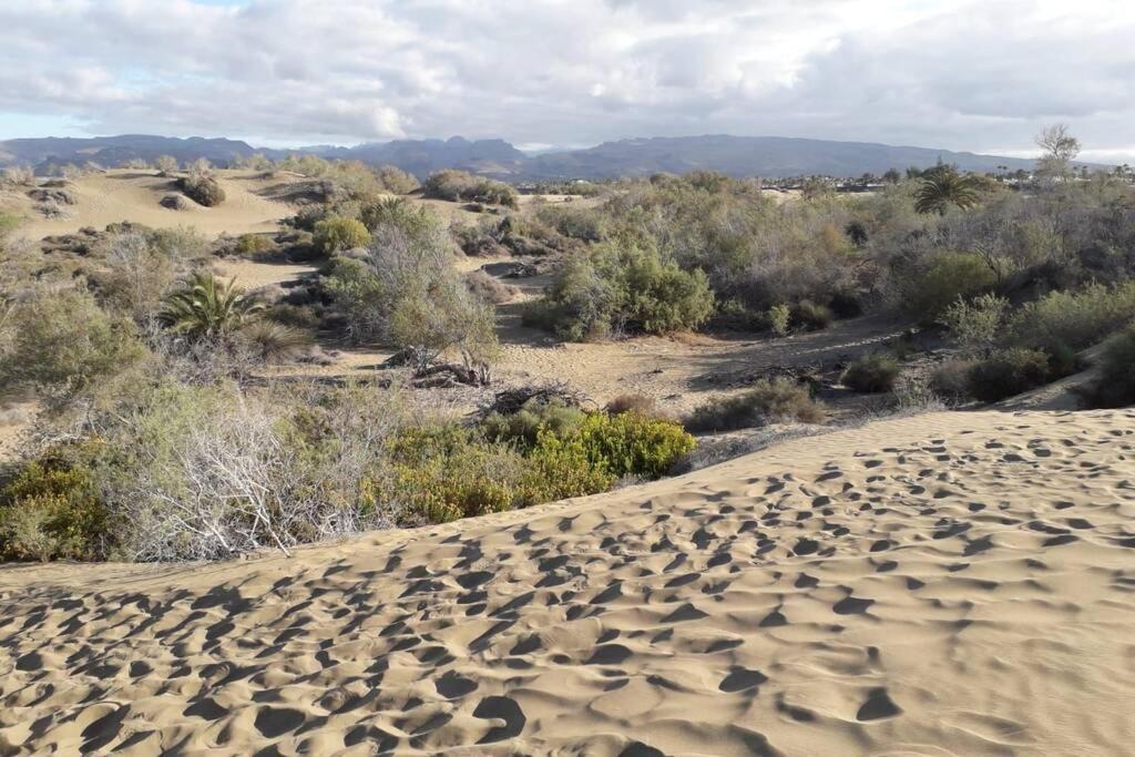 Apartamento Tucan With Beautiful Views Near Dunes, Fast Fiber Wifi
