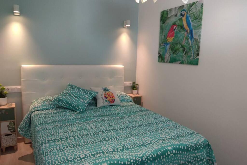 Tucan With Beautiful Views Near Dunes, Fast Fiber Wifi San Bartolomé
