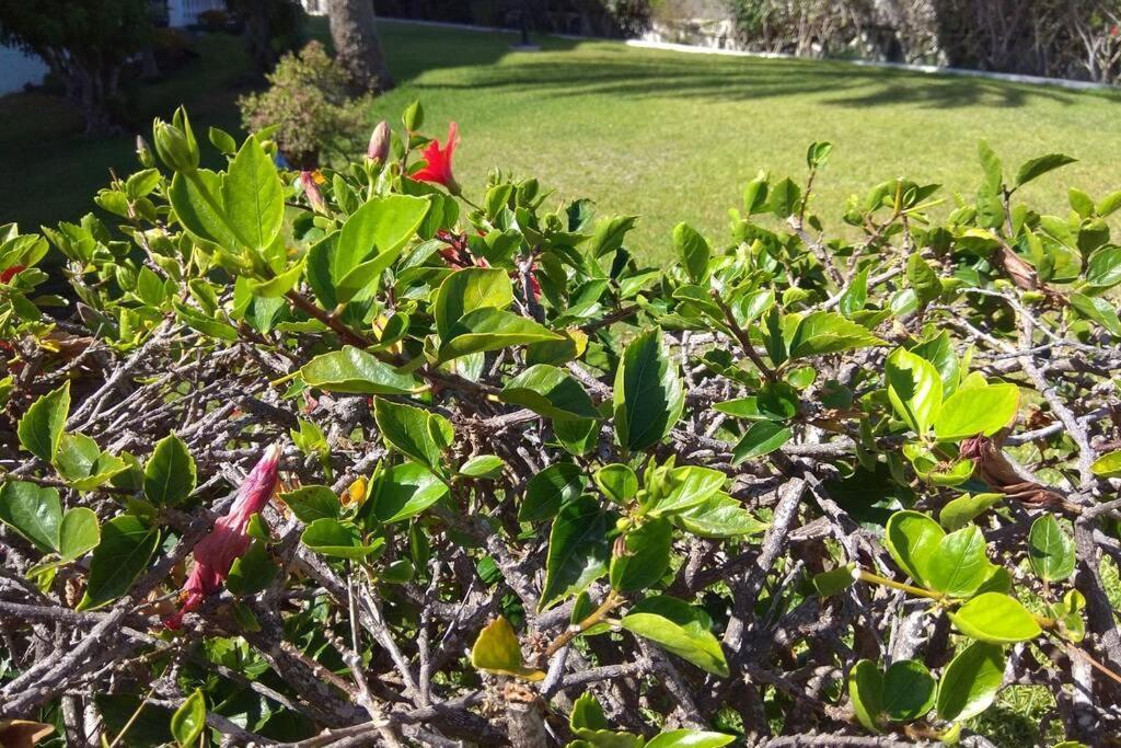 Apartamento Tucan With Beautiful Views Near Dunes, Fast Fiber Wifi