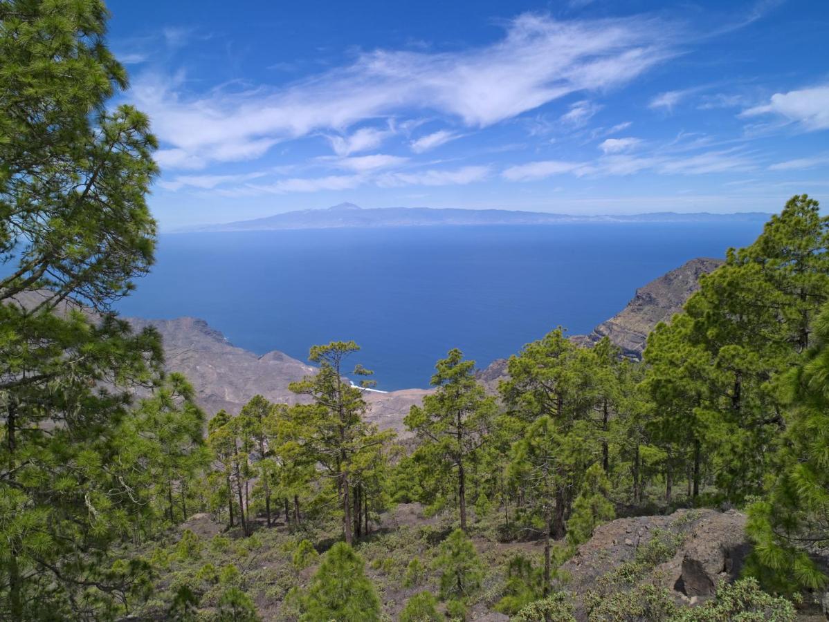Adelfas South 1 By Canariasgetaway *