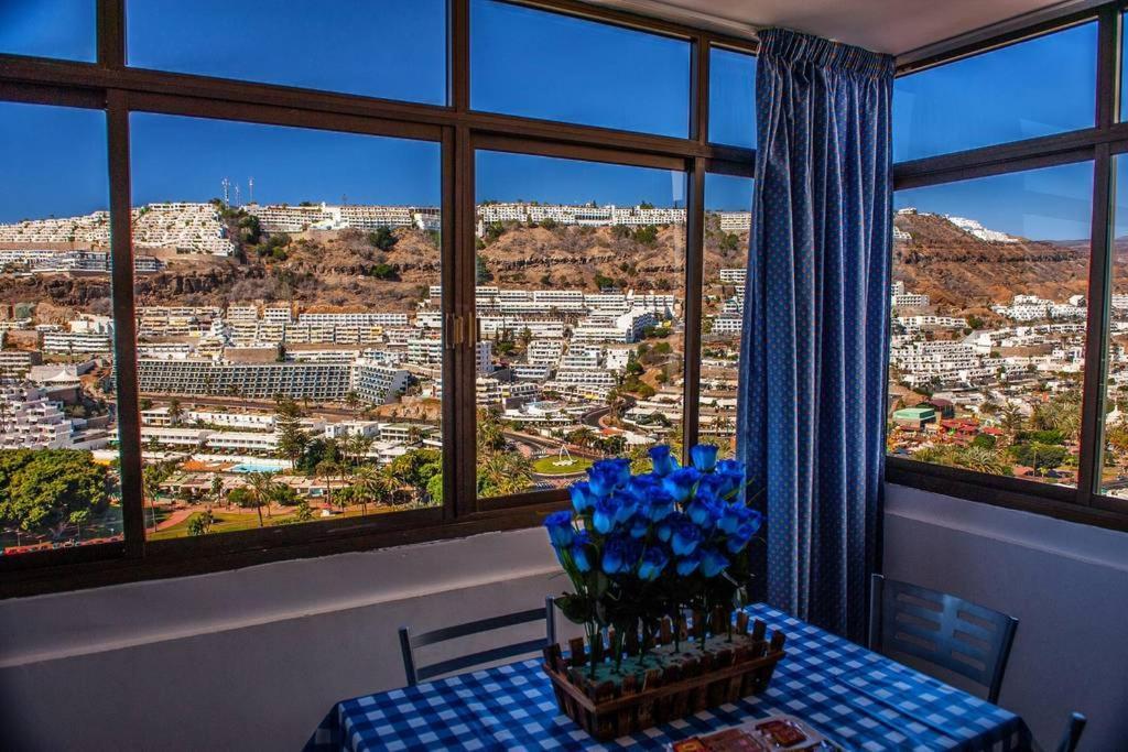 Blue Views Apartamento