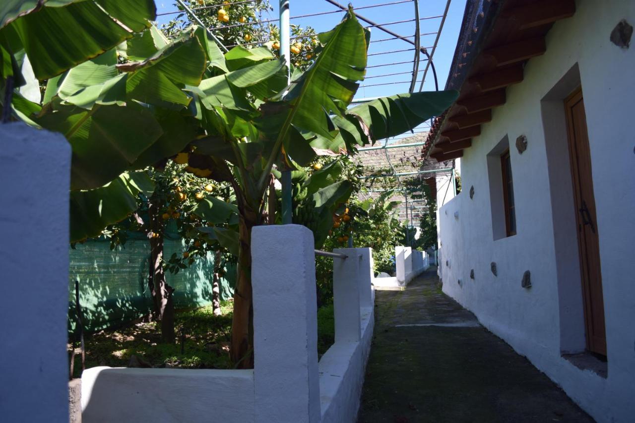 Casa Camino Tamadaba Apartment *