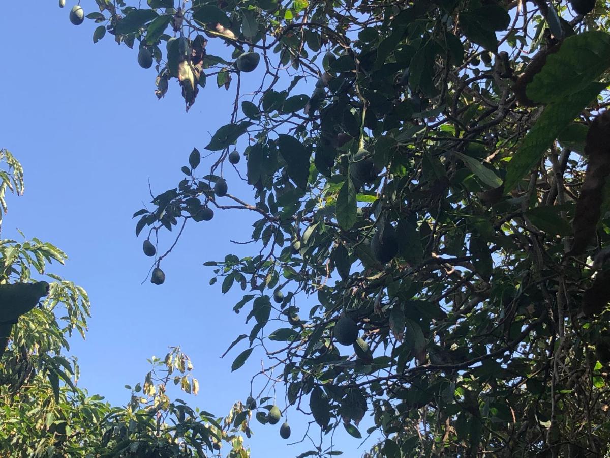 Casa Camino Tamadaba