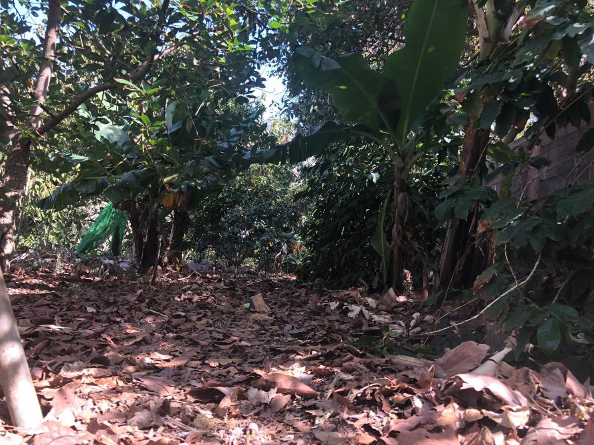Casa Camino Tamadaba *