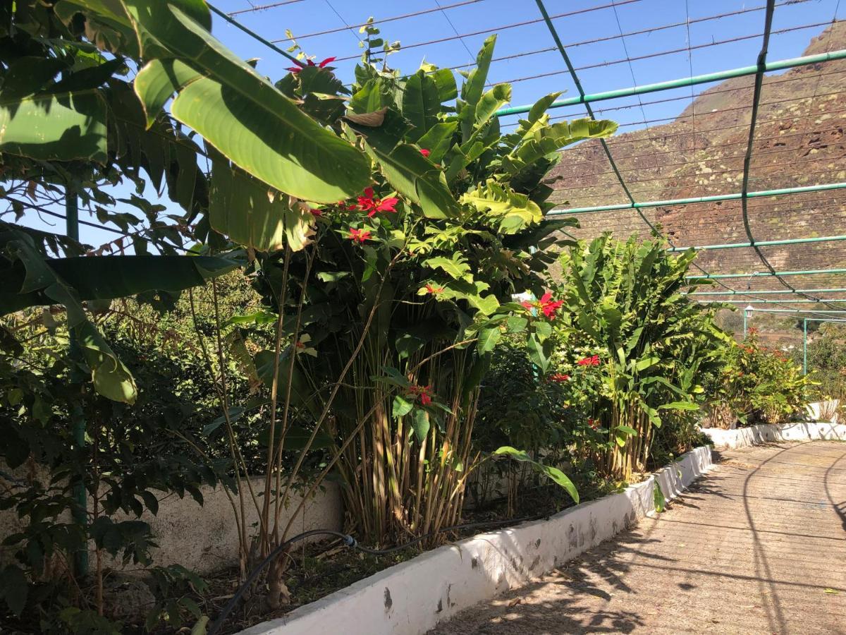 Apartment Casa Camino Tamadaba Agaete (Gran Canaria)