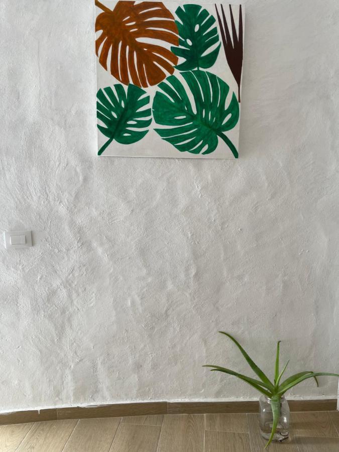 Casa El Conde Agaete (Gran Canaria)