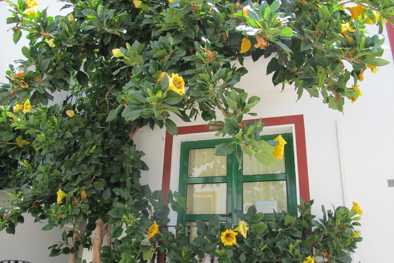 Apartment Front Line Marina With Roofterrace Puerto De Mogan