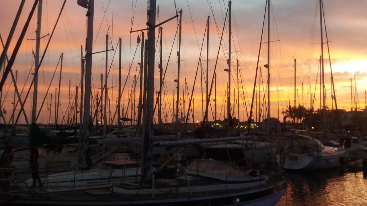 Front Line Marina With Roofterrace Apartment